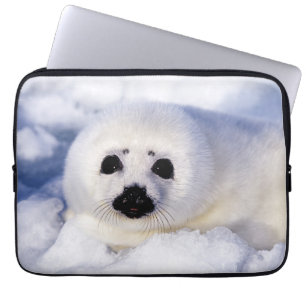 Portrait eines Siegels der Harfe Laptopschutzhülle