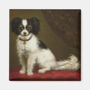 Portrait eines Spaniels Magnet