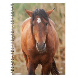 Portrait eines wilden Mustang Notizblock