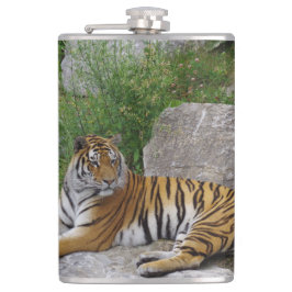 Portrait-Foto eines sibirischen Tigers Flachmann