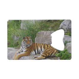 Portrait-Foto eines sibirischen Tigers Geldbeutel Flaschenöffner