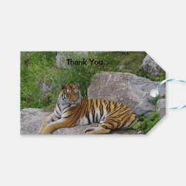 Portrait-Foto eines sibirischen Tigers Geschenkanhänger