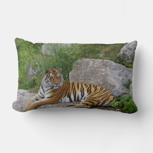Portrait-Foto eines sibirischen Tigers Lendenkissen (Vorderseite)