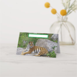 Portrait-Foto eines sibirischen Tigers Platzkarte
