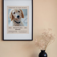 Portrait-Foto für Sandhunde und braune Hunde