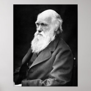 Portrait Foto von Charles Darwin Poster