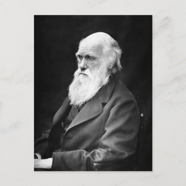 Portrait Foto von Charles Darwin Postkarte (Vorderseite)