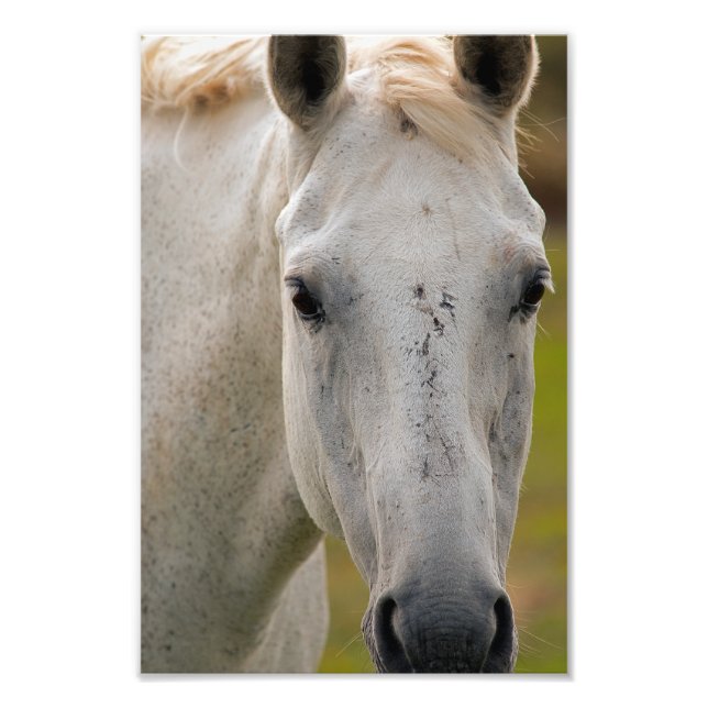 Portrait Fotodruck (Vorne)