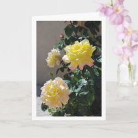 Portrait Gelb und Rosa
