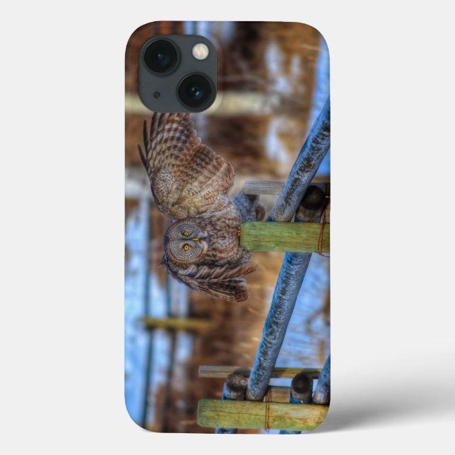 Portrait "Great Gray Owl & Fence Wildlife Foto" Case-Mate iPhone Hülle (Rückseite)