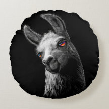 Portrait Head Niedlich Llama auf schwarzem Hinterg