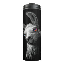 Portrait Head Niedlich Llama auf schwarzem Hinterg
