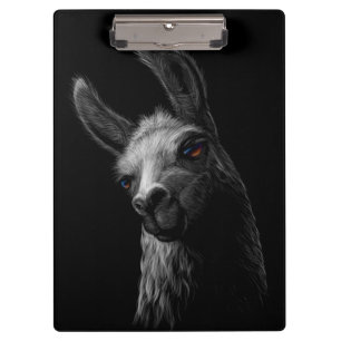 Portrait Head Niedlich Llama mit schwarzem Hinterg Klemmbrett