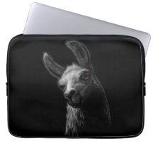 Portrait Head Niedlich Llama mit schwarzem Hinterg