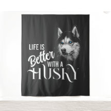 Portrait Head Siberischer Husky mit blauen Augen
