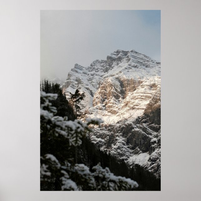 Portrait Illustration Design Poster (Vorne)