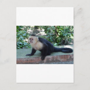 Portrait.JPG Postkarte