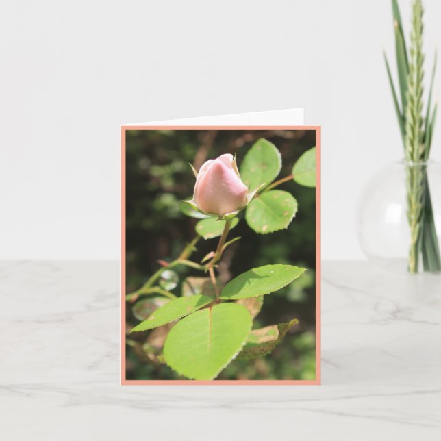 Portrait-Karte der rosa Rosenknospe Dankeskarte (Vorderseite)