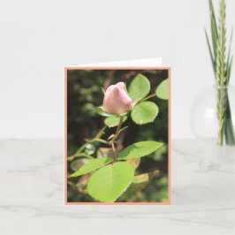 Portrait-Karte der rosa Rosenknospe Dankeskarte
