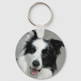 Portrait niedlich Border Collie Foto Schlüsselanhänger
