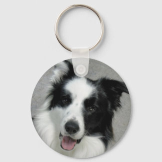 Portrait niedlich Border Collie Foto Schlüsselanhänger