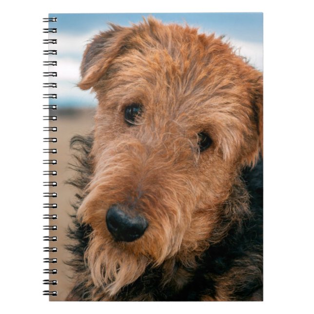 Portrait of a Airedale Terrier Notizblock (Vorderseite)