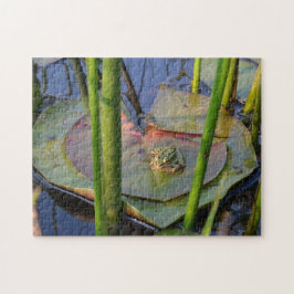 PORTRAIT OF A FROG