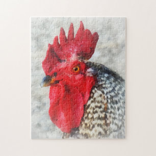 Portrait of a Rooster