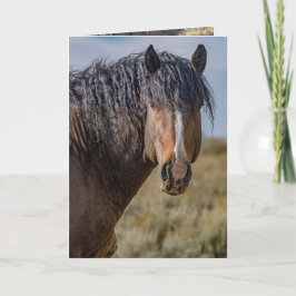 Portrait of Bello Greeting Card Einladung