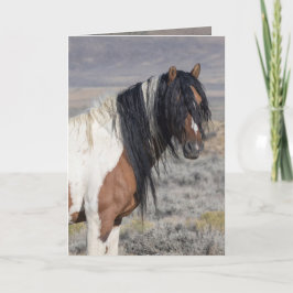 Portrait of Zephyr Wild Horse Greeting Card Einladung