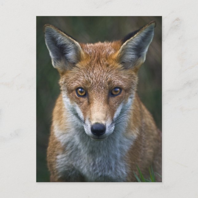 Portrait Postkarte (Vorderseite)