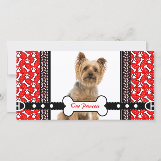 Portrait pour animaux de compagnie Carte photo Paw (Devant)