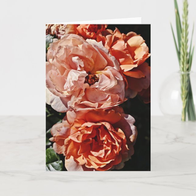 Portrait Rose Peach Apricot Art Note Card Karte (Vorderseite)