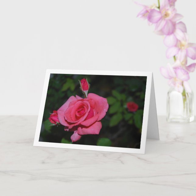 Portrait Rose und Rose Buds Karte (Orchidee)