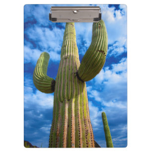 Portrait Saguaro Cactus, Arizona Klemmbrett