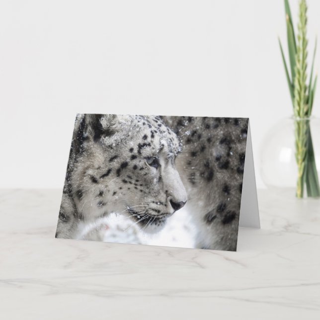 Portrait Snow Leopard Karte (Vorderseite)