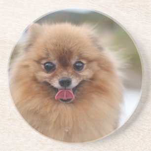 Portrait Spitz Dog Getränkeuntersetzer