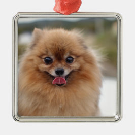 Portrait Spitz Dog Ornament Aus Metall