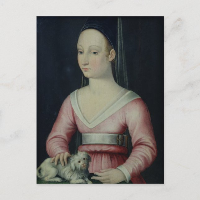 Portrait von Agnes Sorel Postkarte (Vorderseite)