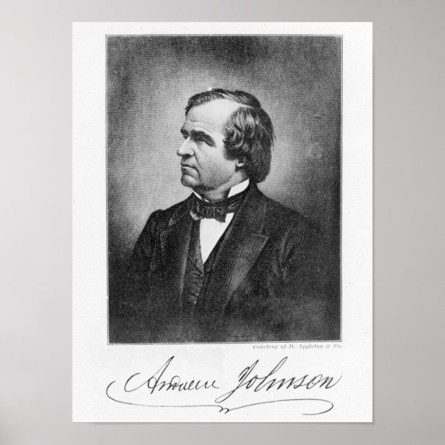 Portrait von Andrew Johnson Poster (Vorne)