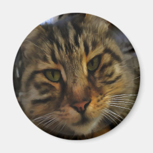 Portrait von Artistic Pet, lang haarige Tablette, Magnet