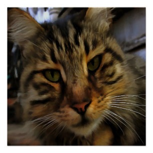 Portrait von Artistic Pet, lang haarige Tablette,  Poster