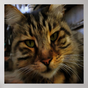Portrait von Artistic Pet, lang haarige Tablette, Poster