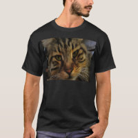 Portrait von Artistic Pet, lang haarige Tablette,