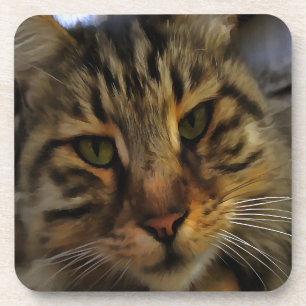 Portrait von Artistic Pet, lang haarige Tablette, Untersetzer