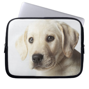 Portrait von blond Labrador Retriever Welpe Laptopschutzhülle