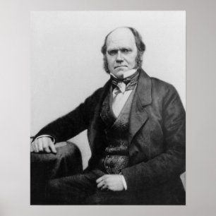Portrait von Charles Darwin, 1854 Poster