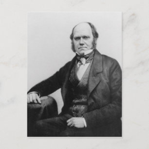 Portrait von Charles Darwin, 1854 Postkarte