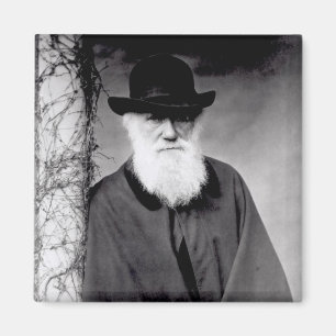 Portrait von Charles Darwin 1881 Magnet