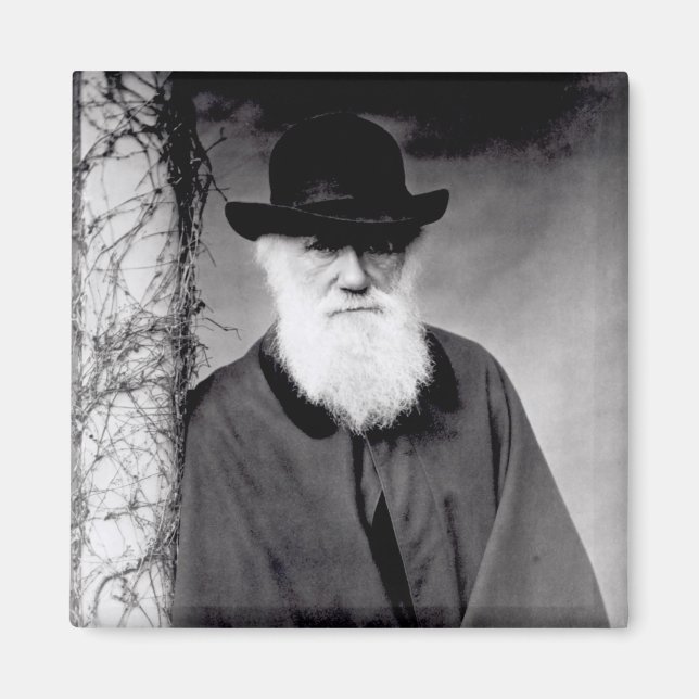 Portrait von Charles Darwin 1881 Magnet (Vorne)